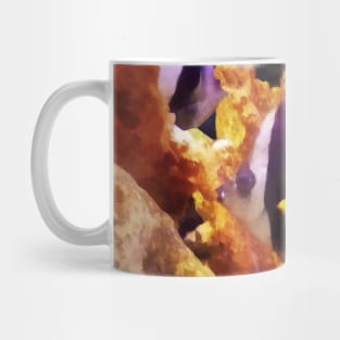 Fish - Black and White Striped Angelfish Mug